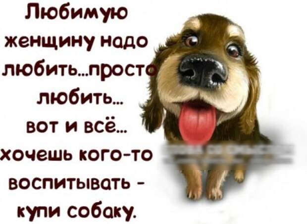 Любимую женщину надо воспитывать купи собаку