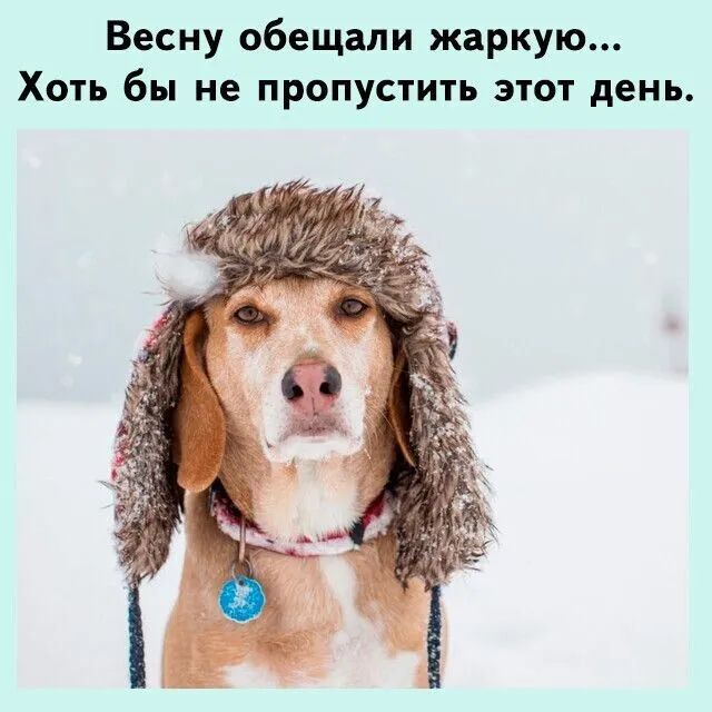 Весну обещали жаркую Хоть бы не пропустить этот день