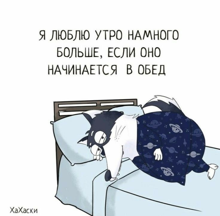 Я ЛЮБЛЮ УТРО НАМНОГО БОЛЬШЕ ЕСЛИ ОНО НАЧИНАЕТСЯ В ОБЕД ХаХаски