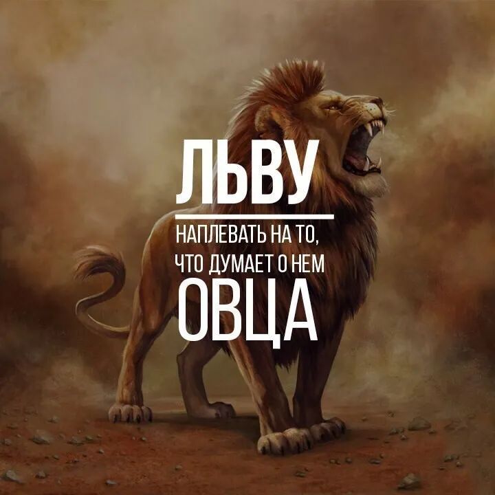 ЛЬВУ НАПЛЕВАТЬ НА ТО ЧТО ДУМАЕТ О НЕМ ОВЦА