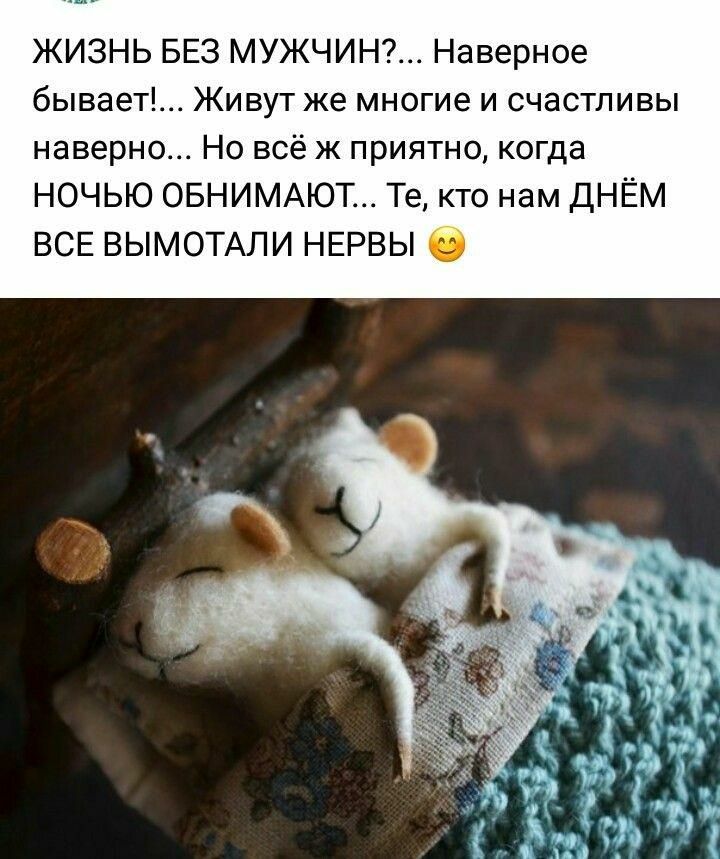 ЖИЗНЬ БЕЗ МУЖЧИН Наверное бывает Живут же многие и счастливы наверно Но всё ж приятно когда НОЧЬЮ ОБНИМАЮТ Те кто нам ДНЁМ ВСЕ ВЫМОТАЛИ НЕРВЫ т