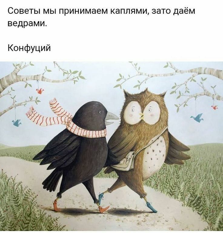 СОВЕТЫ МЫ принимаем КдППЯМИ ЗЗТО даём ведрами Конфуций