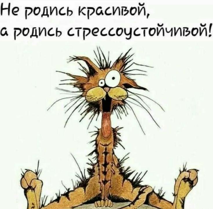 Не родись красивой родись стрессоустойчивой