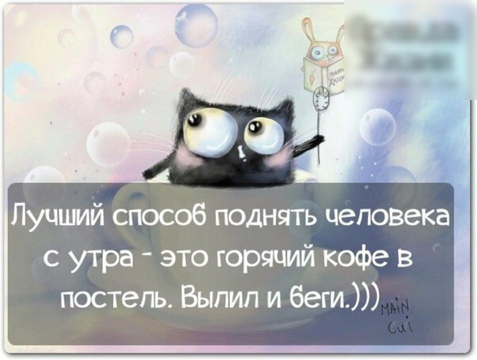 Лучший способ поднять человека с утра это горячий кофе в постель Выпил и 6еги