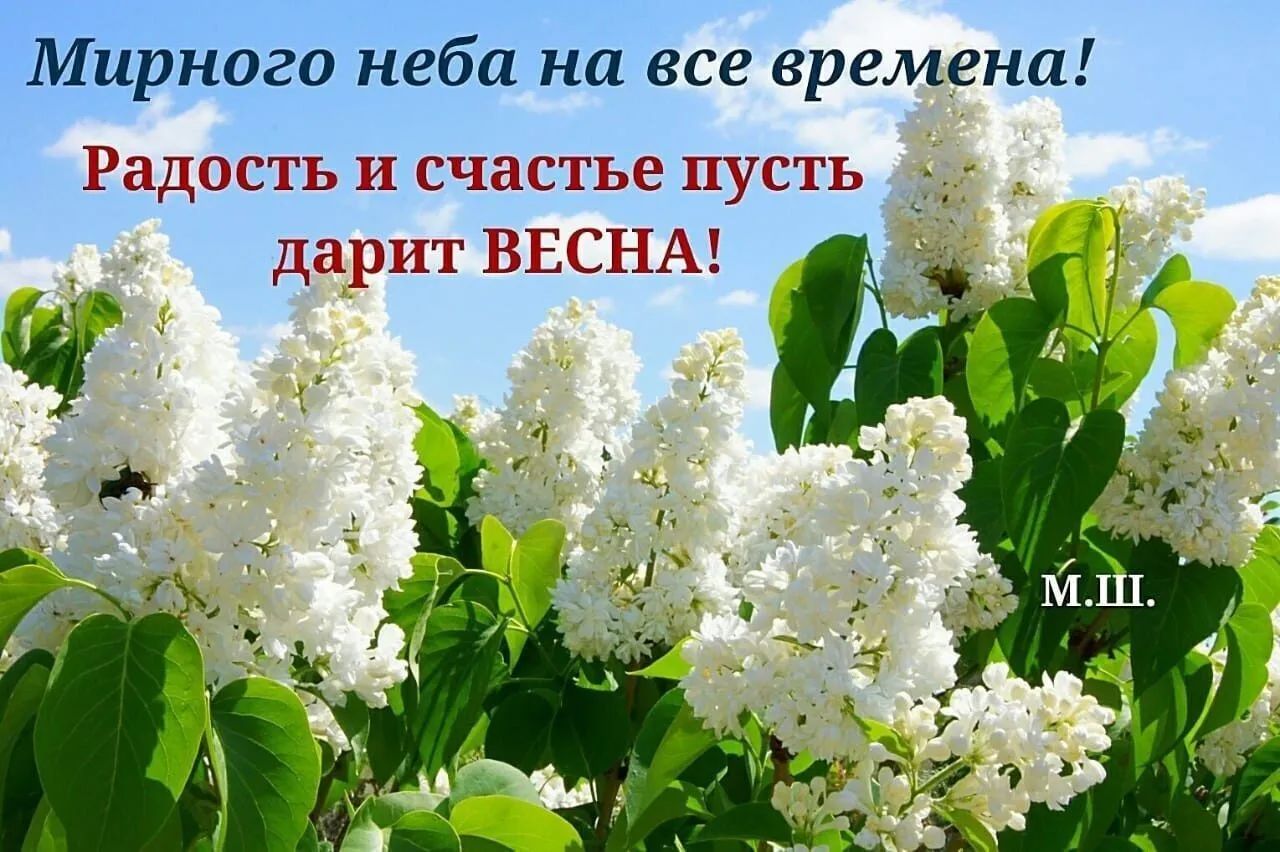 Мирного неба на все времена Радость и счастье пусть дарит ВЕСНА С