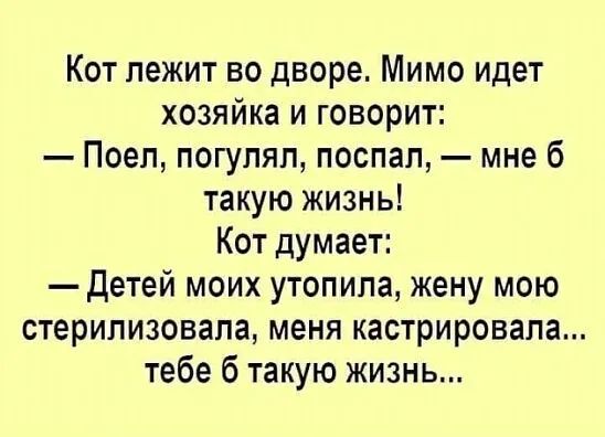 Кот лежит во дворе Мимо идет хозяйка и говорит Поеп погупяп поспал мне 6 такую жизнь Кот думает Детей моих утопила жену мою стерилизовапа меня кастрировапа тебе 6 такую жизнь