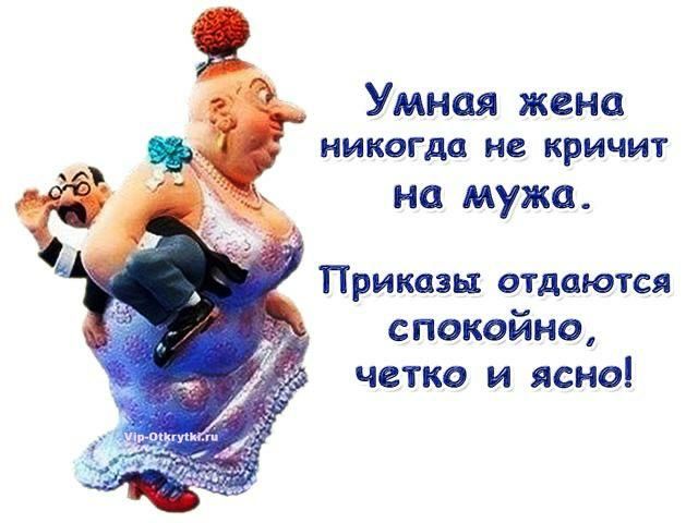 Умная жена никогда не КРИЧИТ на мужа Приказы отдаются спокойно четко и ясно