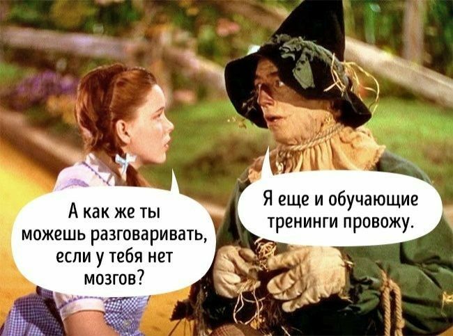 А как же ты можешь разговаривать если у тебя нет мозгов Я еще и обучающие тренинги провожу