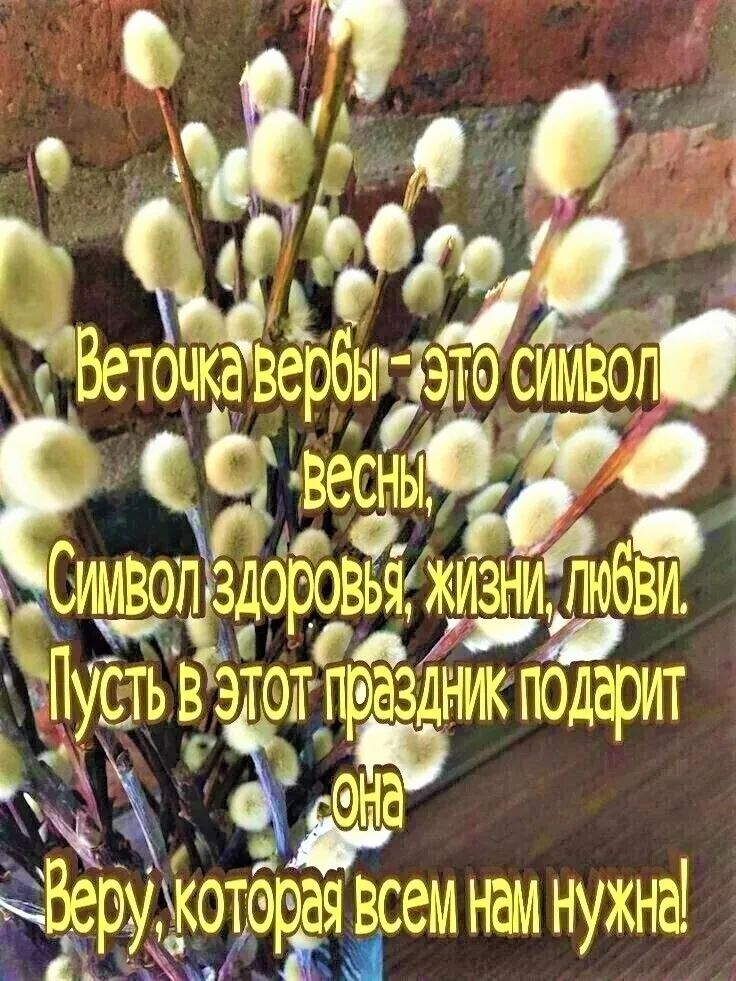 Веточкавербырэтесимво ЁЁ весны Симво пздоровьяжизни тПусть в этот праздник подарит Нд ру которая всем нам нужна