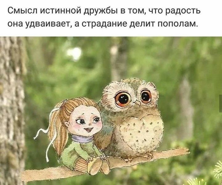 Смысл истинной дружбы в том что радость она удваивает а страдание делит пополам