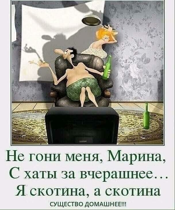Не гоъш меня Марина С хаты за вчерашнее Я окопша а скопища СУЩЕСГВО ДОМАШ Н ЕЕ