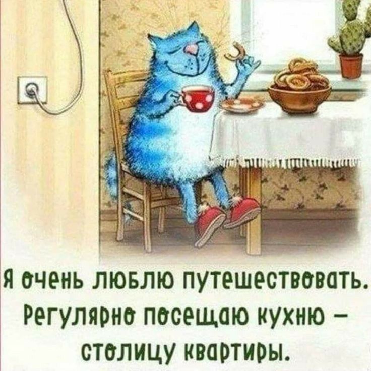 РЕГУЛЯРНО ПОСЕЩПЮ КУХНЮ СТОЛИЦУ КВОРТИРЫ