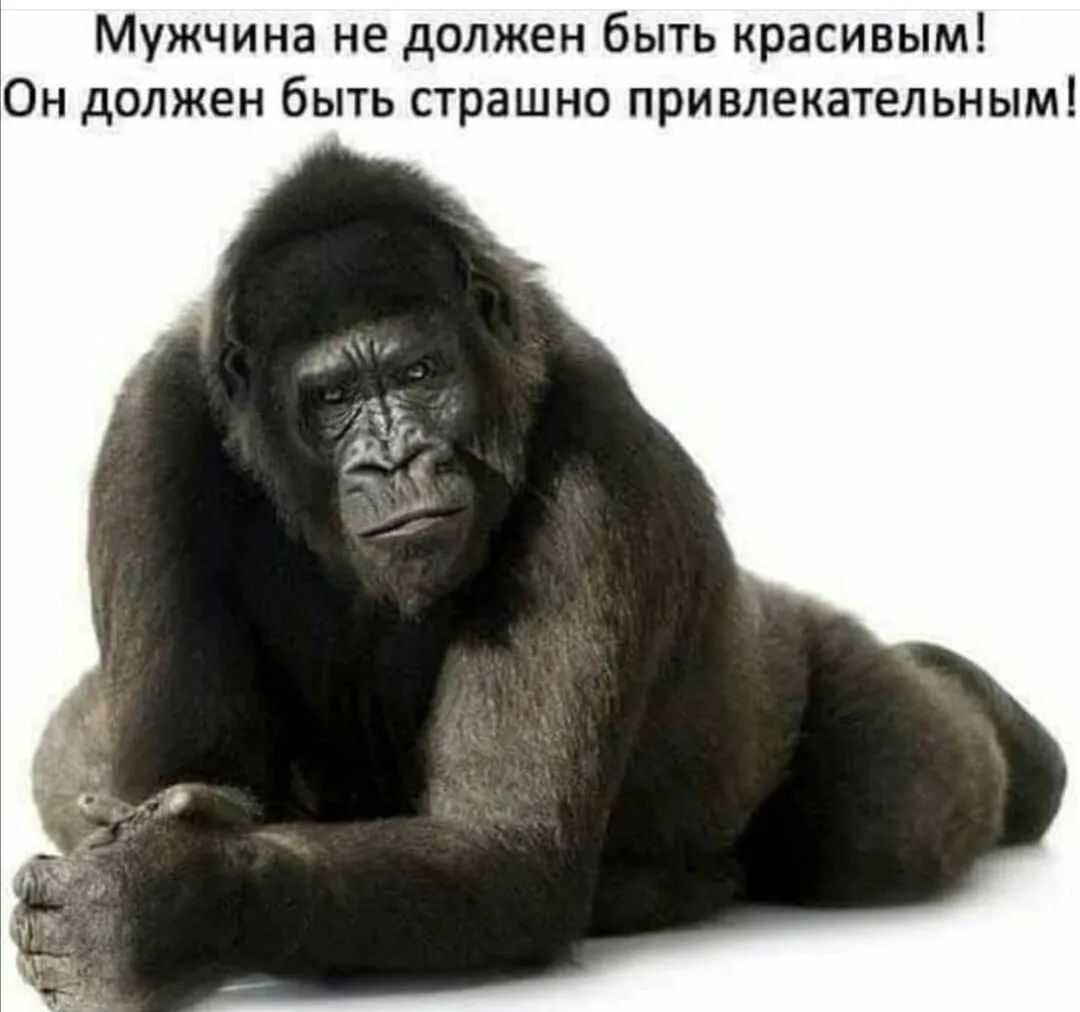 Мужчина не должен быть красивым Он должен быть страшно привлекательным
