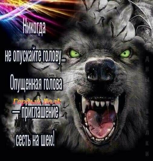 тестьнашеы гдэ