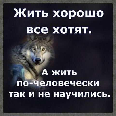 Жить хорошо все хотят А жить по еловечески так и не научились