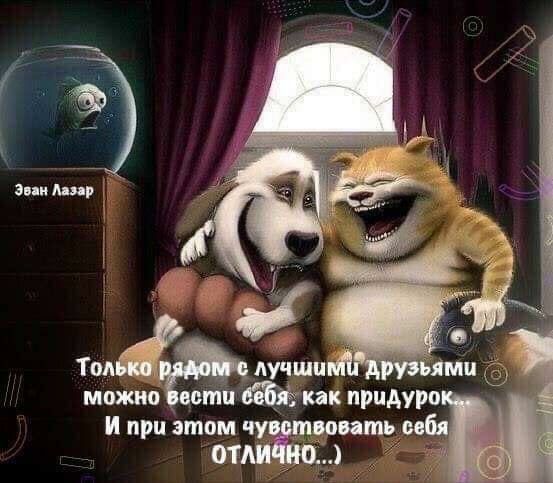 Таиф Аучшц можно _вотп зайчик придурп Ипризтомчув иитьмбя отли