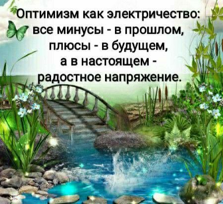 Оптимизм как электричество все минусы в прошлом плюсы в будущем а в настоящем