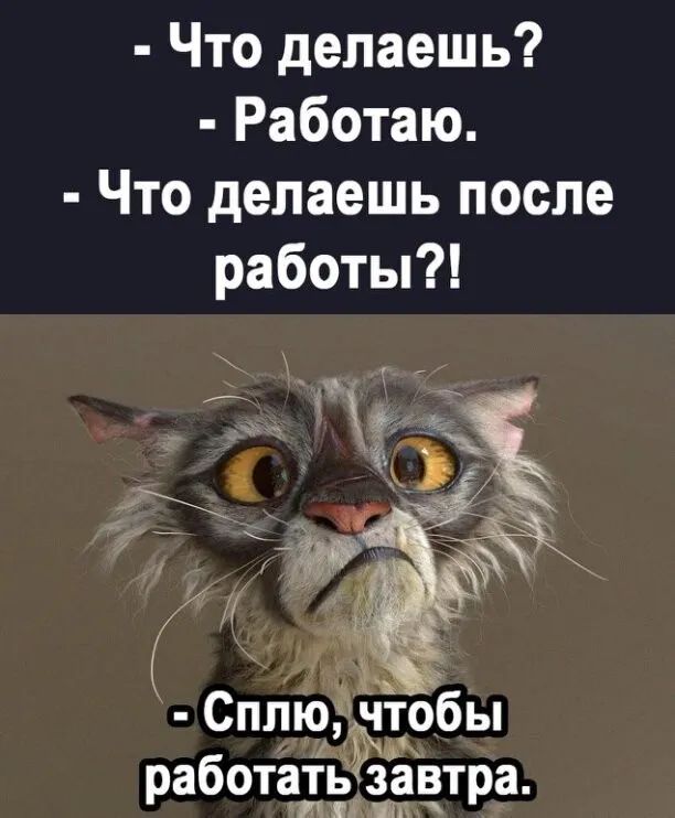 Что делаешь Работаю Что делаешь после работы Слліеёчъебы работатв завтра ти И