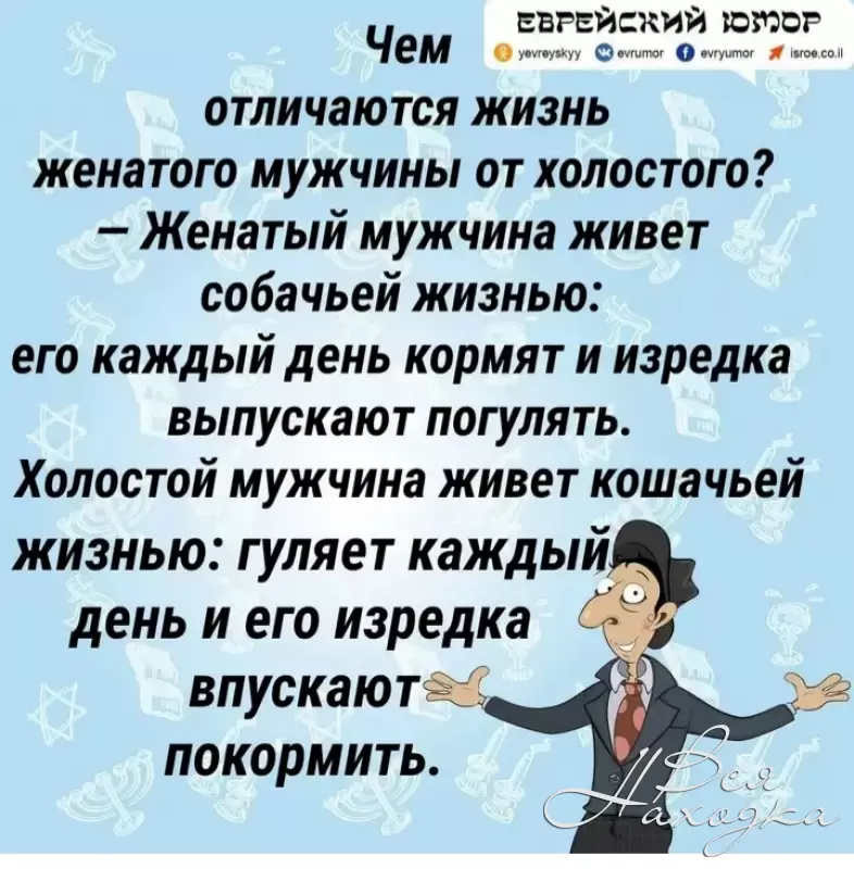 ЕВРЕЙСКИЙ котор Чем от от о и отличаются жизнь женатого мужчины от холостого Женатый мужчина живет собачьей жизнью его каждый день кормят и изредка выпускают погулять Холостой мужчина живет кошачьей жизнью гуляет каждый день и его изредка впускают Ч покормить