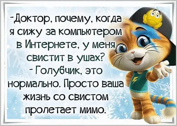 доктор почему когда 7 я сижу за компьютером в Интернете у меня свистит в ушах Г опубцик это нормально Просто ваша жизнь со свистом пролетает мимо