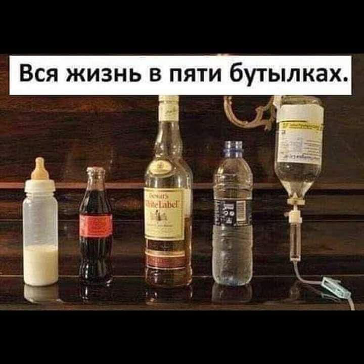 Вся жизнь в пяти бутылках