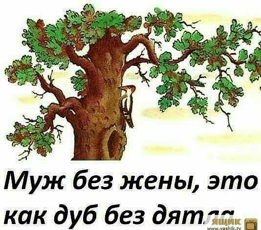 Муж без жены это как дуб без дятти