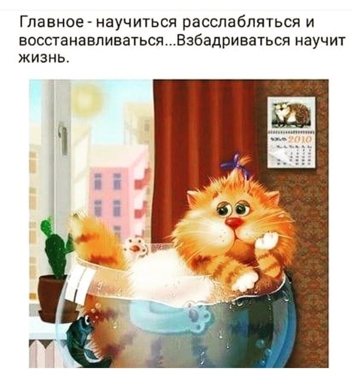 Главное НЭУЧИТЬСЯ расслабляться И ВОССТЭНЭВЛИВЭТЬСЯВЭбадрИВЗТЬСЯ НЗУЧИТ ЖИЗНЬ