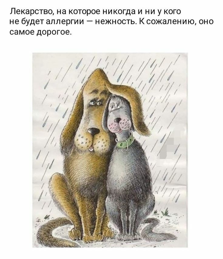 Лекарство НЗ которое никогда И НИ У КОГО не будет ЗПЛЕРГИИ _ НЭЖНОСТЬ К сожалению ОНО самое дорогое
