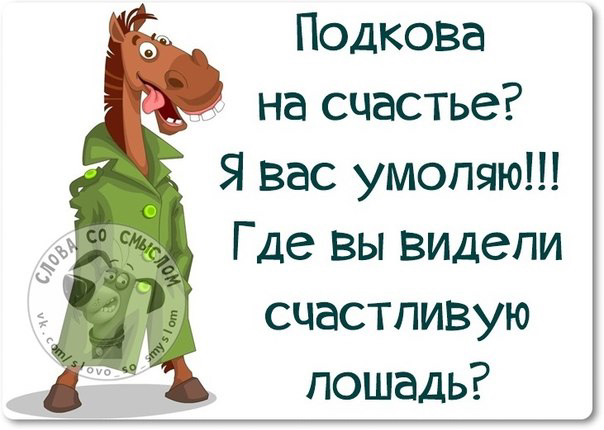 Подкова на счастье Я вас умоляю Где вы видели счастливую лошадь