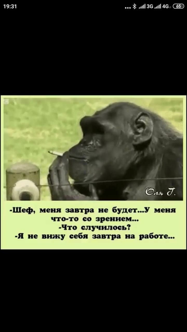 1931 пізсп4е Шеф меня завтра не будетУ меня что то со зрением Что случилось я не вижу себя завтра на работе