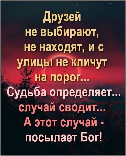 друзей не выбирают не находят и с улицьГТчЁКличут на порог Судьба определяет случай сводит А этот случай посылает Бог