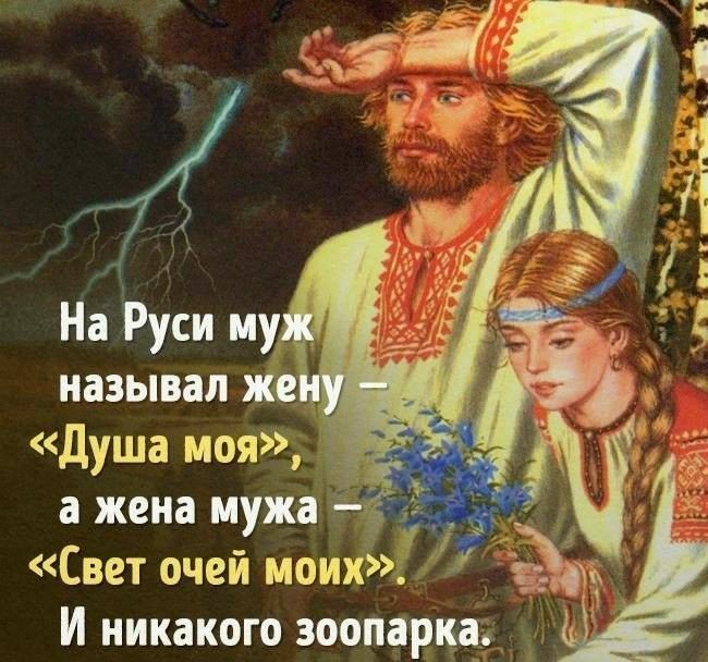 Свет очей моих И никакого зоопдірпдіь