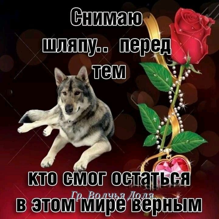 ВЗ верн