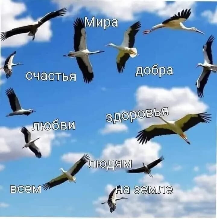 Ж А Г ЙЮВМ ЗЖ дя в