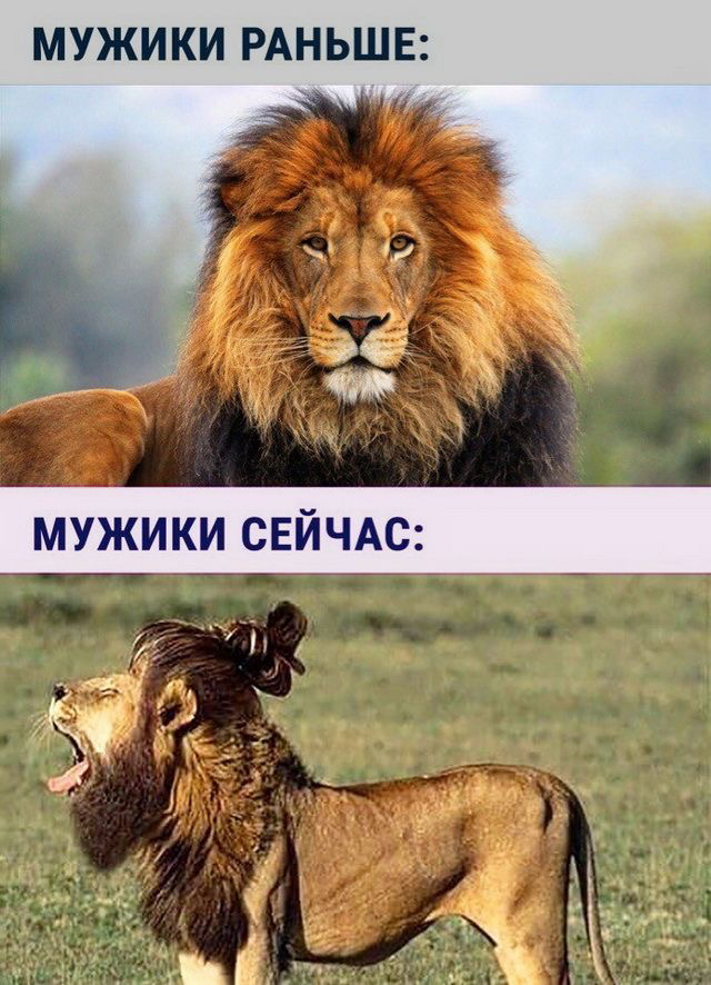 МУЖИКИ РАНЬШЕ МУЖИКИ СЕЙЧАС _ Р 43 А