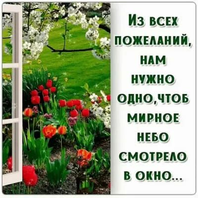 Из вси пожилиий НАМ ичжио одно пог мирно ипьо смотрело в окно