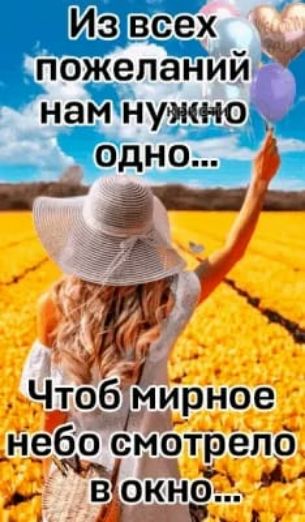 всех _ пожеланий на нужнб __ одно РЁи Чтоб мирное Небо смотрело вок нд Д