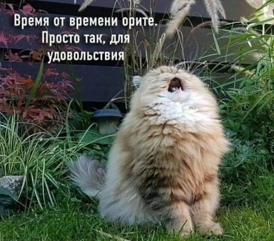 2д Время от времени ощ Ч гх ПРОЁТЧ так для _ удовольствия
