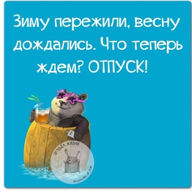 Зиму пережили весну дождались Что теперь ждем ОТПУСК