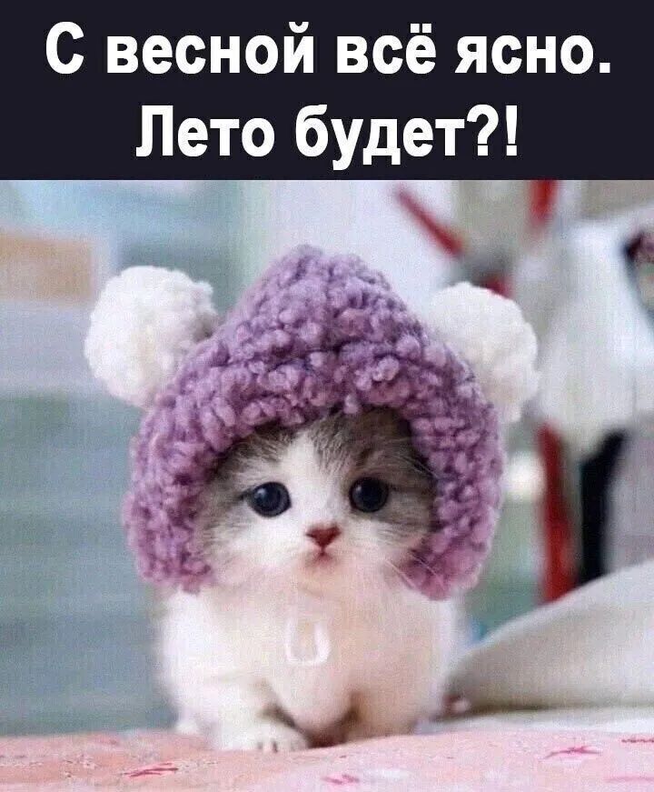 С весной всё ясно Лето будет