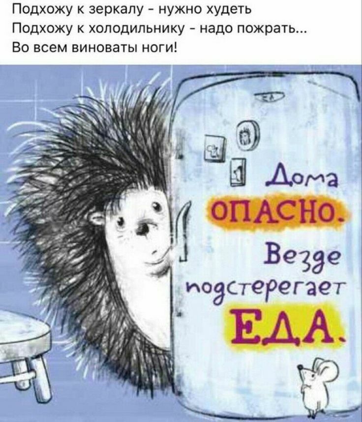 Подхожу к зеркалу нужно худеть Подхожу к холодильнику надо пожрать Во всем виноваты ноги