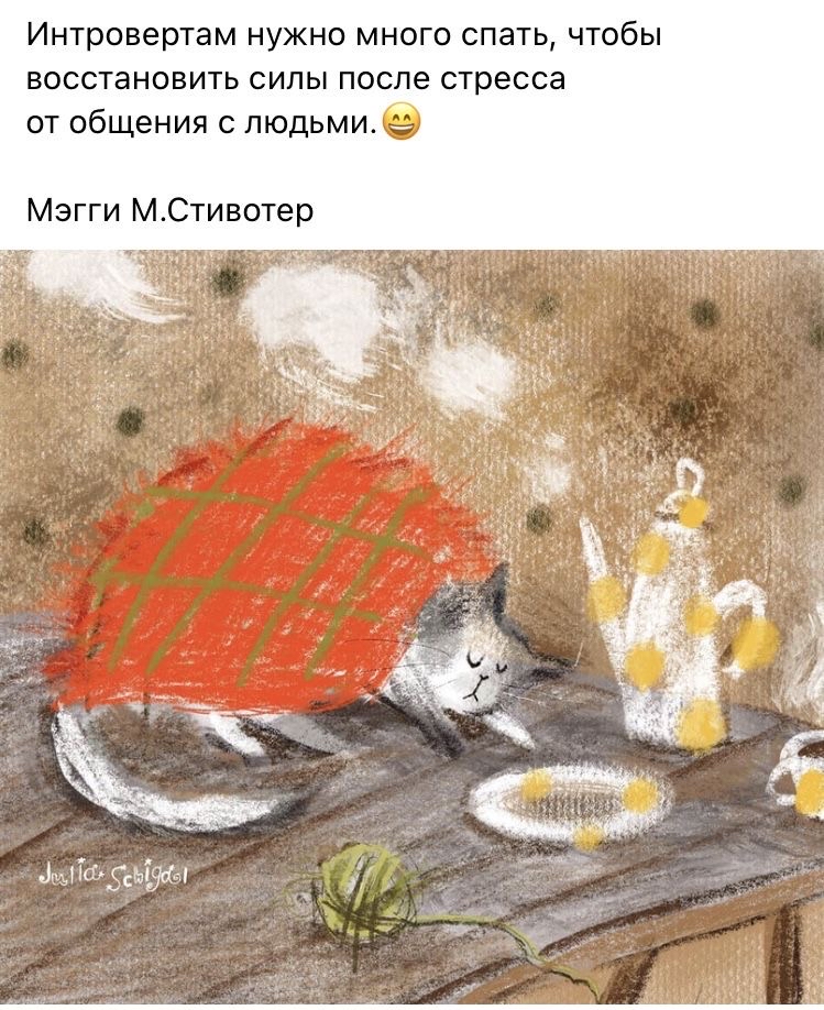 Интровертам нужно много спать чтобы восстановить силы после стресса от общения с людьми Мэгги МСтивотер