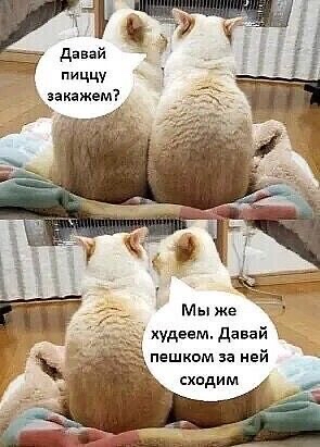 3 РУ ж Давай пиццу закажем