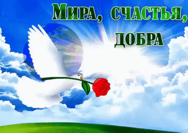 и1гА СЧАСТЬЯ д0БРА и _