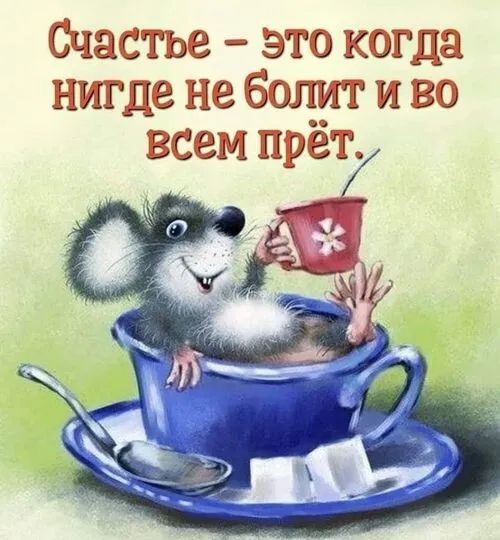 і Маи моет Т