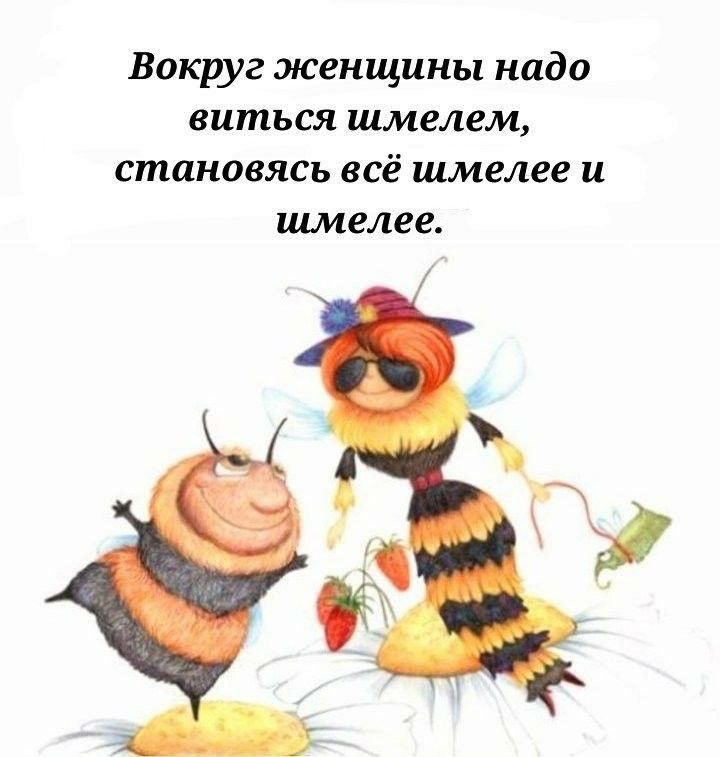 Вокруг женщины надо ваться шмелем становясь всё шмелее и шмелее