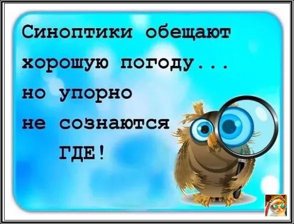 Синоптики обещают хорошую погоду но упорно не сознаются гдв