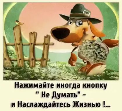 Нажимайте иногда ккиопу Не думать Наслаждайтесь Жизнью