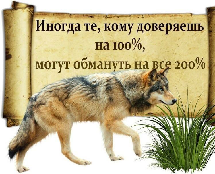 ч __ мн Иногда те кому доверяешь на 100 могут обмануть на с 200