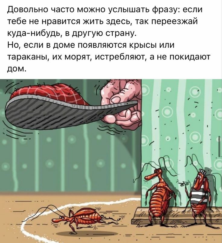 довольно часто можно услышать фразу если тебе НЕ нравится ЖИТЬ ЗДЕСЬ так ПЕРЕЕЗЖЕЙ куданибудь в другую страну НО если 5 дома ПОЯВЛЯЮТСП КРЫСЫ ИЛИ тараканы их морят истребляют а не покидают дОМ